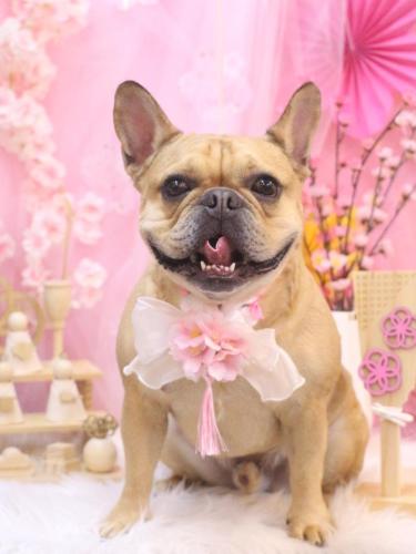 20250311力也くん